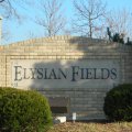 Elysian Fields.jpg